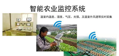 溫度、濕度、光照強度與農業生產 在線氣象監測技術解析