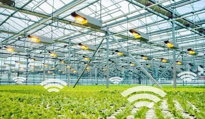 現代農業的新篇章 智慧農場、機器人、物聯網與人工智能的融合